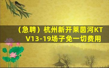 葫芦岛夜场招聘
